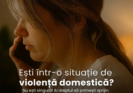 Proiect in derulare de test